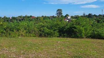 Gambar 4 1420m² Land Near Gwk Bali For Sale Prime Location In Goa Gong