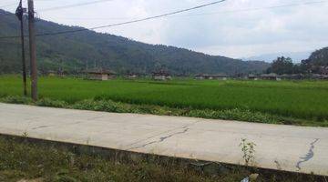 Gambar 5 Dijual Tanah Sawah 500M2 di Kp Leungsir Dayeuh Jonggol, Bogor