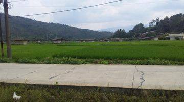 Gambar 4 Dijual Tanah Sawah 500M2 di Kp Leungsir Dayeuh Jonggol, Bogor