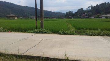 Gambar 3 Dijual Tanah Sawah 500M2 di Kp Leungsir Dayeuh Jonggol, Bogor