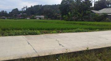 Gambar 2 Dijual Tanah Sawah 500M2 di Kp Leungsir Dayeuh Jonggol, Bogor