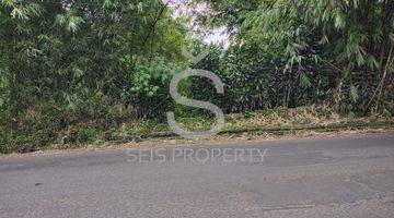 Gambar 4 Di Jual Cepat Tanah Kosong Mainroad Lembang