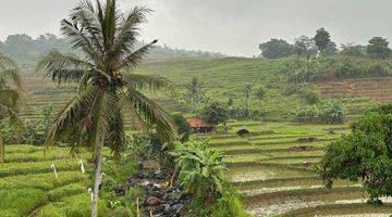 Gambar 3 Tanah di Desa Sukarasa Tanjungsari Bogoor Timur, Bogor SHM