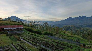 Gambar 1 TANAH COCOK UNTUK TEMPAT WISATA, KEBUN DAN RUMAH MAKAN