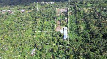 Gambar 1 Dijual Tanah di Payangan Bali Dekat UBUD Area