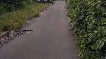 Gambar 1 Disewakan Tanah Murah 500 meter ke Pantai Batu Bolong Canggu Badung Bali.