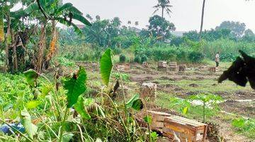 Gambar 1 Tanah Murah di bawah NJOP