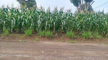 Gambar 5 Tanah di mainroad Cihanjuang kotak siap bangun lokasi strategis 