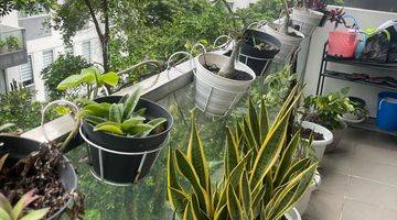 Gambar 2 Dijual Rainbow Spring Condovilla 