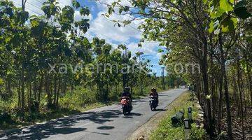 Gambar 3 Tanah pinggir jalan utama murah