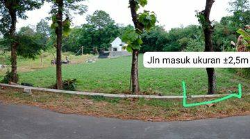 Gambar 2 Tanah Sawah Murah di Sleman Jogja, Cocok Untuk Investasi