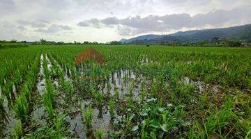 Gambar 1 Lahan sawah produktif akses mudah dengan irigasi bagus