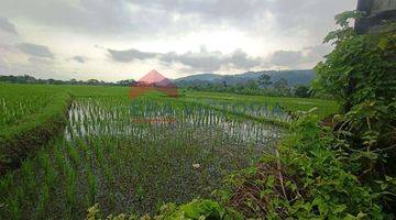 Gambar 3 Lahan sawah produktif akses mudah dengan irigasi bagus