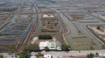 Gambar 1 Dijual tanah di sawah luhur banten