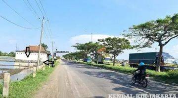 Gambar 3 Tanah Kawasan Industri Jalan Raya Pantura Semarang Kendal 