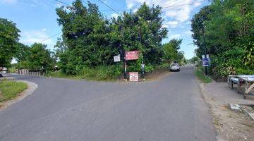 Gambar 1 Tanah Murah Jogja 100 Dekat Jalan Solo Dekat Candi Sambisari 