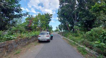 Gambar 4 Tanah Murah Jogja 100 Dekat Jalan Solo Dekat Candi Sambisari 