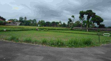 Gambar 3 Dijual Tanah Sleman View Sawah Harga 1 Jutaan m SHM P