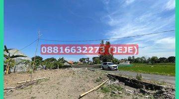 Gambar 5 Tanah Dijual Murah Selomartani, 200jt an, Shm, Purwomartani