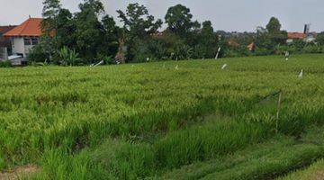 Gambar 1 Tanah Strategis Bisa Untuk Usaha di Sayap Raya Canggu Bali