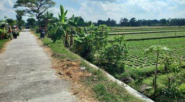 Gambar 5 Tanah Sawah SHM 418 M2 Tegal Rejo Tamanmartani Sleman