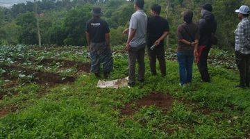 Gambar 2 Tanah Kosong di Jalan Babakan Cinta Area Perkebunan