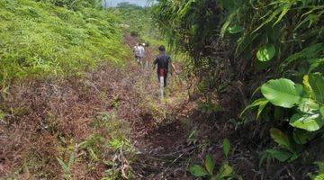 Gambar 2 Tanah Kosong di Jalan Pesona Bukit Sintuk Dekat Area Perusahaan