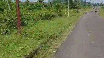 Gambar 5 Dijual Tanah 440 Ha di Karawang Timur Dekat Kawasan Industri SHM