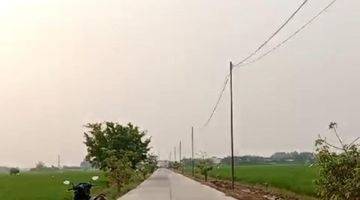 Gambar 3 Dijual Murah BU Tanah di Karawang Barat 6000 m2 SHM 