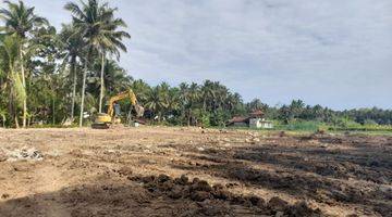 Gambar 3 Tanah View Sawah Kawasan Bandara Yia Jogja, Siap Balik Nama