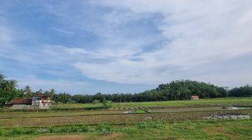 Gambar 4 Tanah View Sawah Kawasan Bandara Yia Jogja, Siap Balik Nama