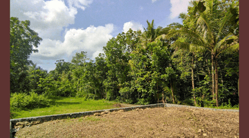 Gambar 3 Tanah Hunian Jogja Murah, Strategis Dekat Samsat Kulon Progo