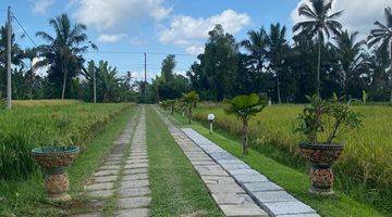 Gambar 4 Dijual villa cantik di tabanan bali