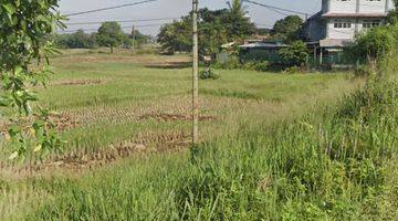 Gambar 1 Dijual Tanah 1,1 hectare di Kronjo pinggir jalan SHM