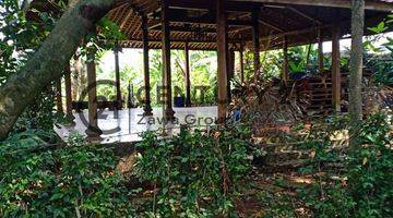 Gambar 4 Dijual Tanah Kebun Buah di Sukamaju Cimanggis Depok