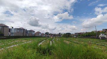 Gambar 3 Beautiful Land 300 Meter Walking To The Beach