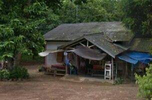 Gambar 4 Kebun Cempedak di BANJAR BARU