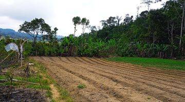 Gambar 1 Tanah di Banjar, Munduk Buleleng Bali SHM 10.000 m² View Cantik