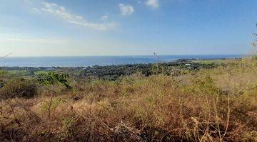 Gambar 5 Tanah di Wisata Lovina, Buleleng SHM 5 Ha Sea View Bali