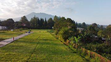 Gambar 5 View Terindah, Kavling Villa Pribadi, Depan Gunung Puncak, Bogor