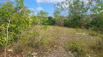 Gambar 1 Land 3 Are For Sale, Ungasan Area