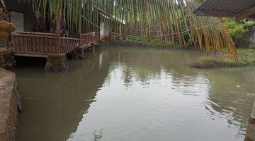 Gambar 5 Dijual Tanah Dan Kolam Ikan Di Labuhan Ratu