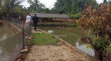 Gambar 2 Dijual Tanah Dan Kolam Ikan Di Labuhan Ratu