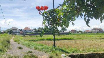 Gambar 2 Tanah view sawah dan sungai ubud