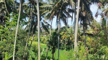 Gambar 1 Tanah view sawah dan sungai ubud