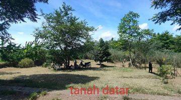 Gambar 4 Tanah view sawah dan sungai ubud