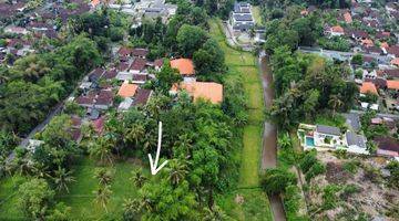 Gambar 4 View Sawah, Sungai Dan Hutan UbuD