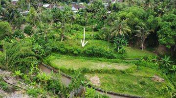 Gambar 2 View Sawah, Sungai Dan Hutan UbuD