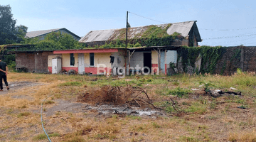 Gambar 4 Tanah Kosong daerah Tulangan Sidoarjo