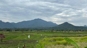 Gambar 5 JUAL TANAH MURAH LOKASI PINGGIR JALAN PROVINSI FASILITAS LENGKAP DAN SIAP BANGUN